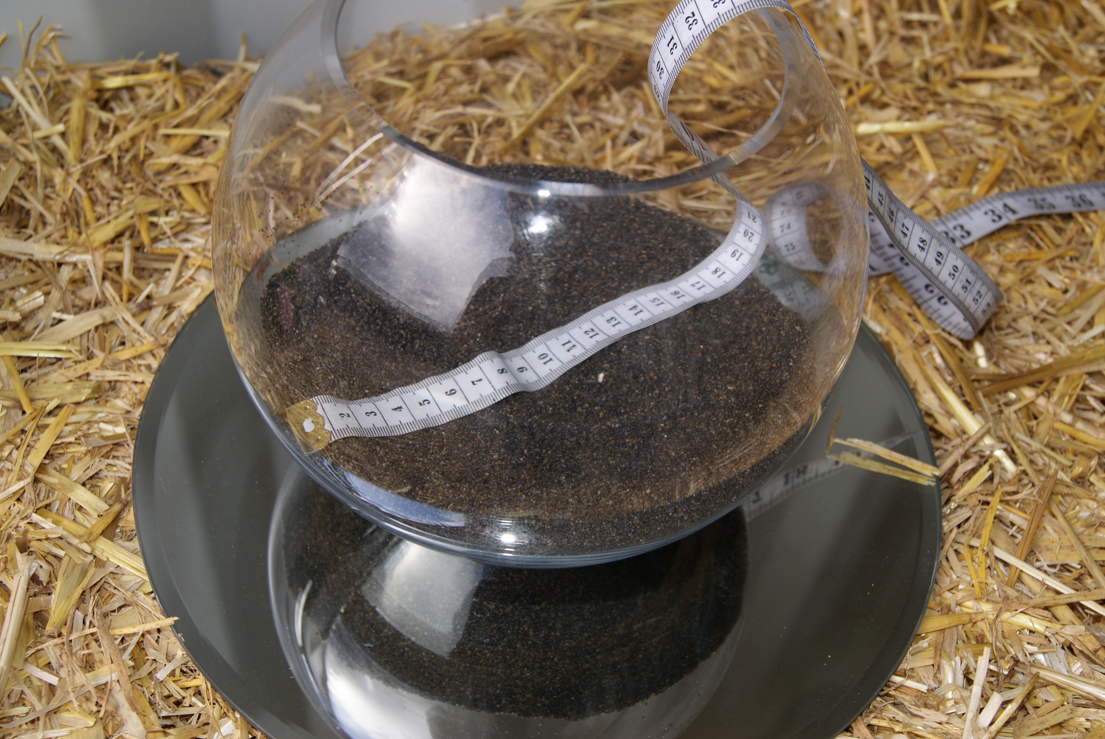 Glass fish bowl approx. 25cm diameter